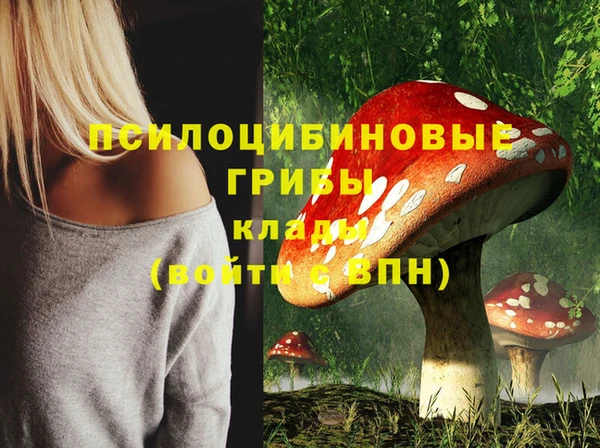 мет Богданович