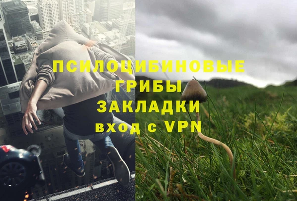 мет Богданович
