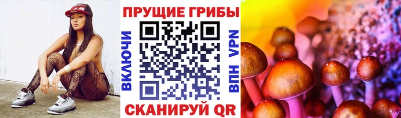 это Telegram Козьмодемьянск Псилоцибиновые грибы мицелий закладка