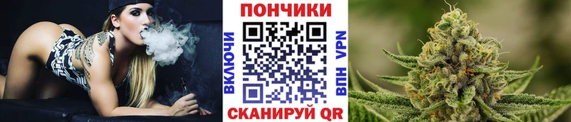 Шишки марихуана ГИДРОПОН  Козьмодемьянск 